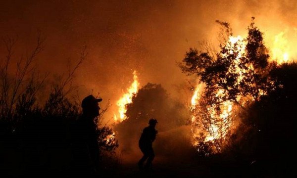 Εύβοια: Φωτιά στην Κάρυστο - Εκκενώνονται σπίτια (pics)