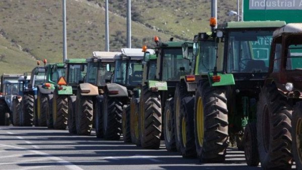 Λάρισα: Οι χαμηλές τιμές στο βαμβάκι βγάζουν τους αγρότες στους δρόμους